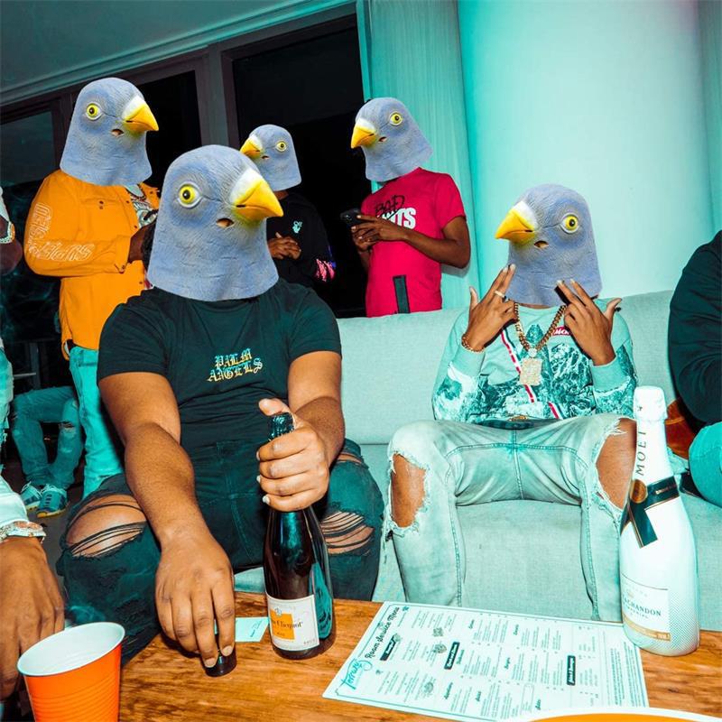 Máscara de Pássaro Divertida p - Skincare Pigeon avaliação e preço